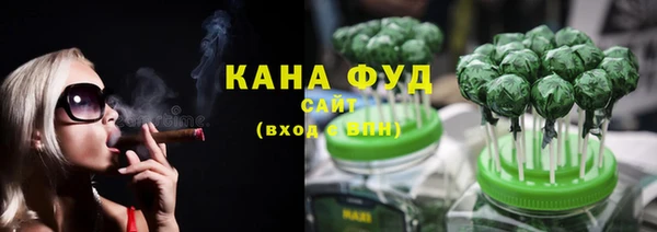МДПВ Алзамай