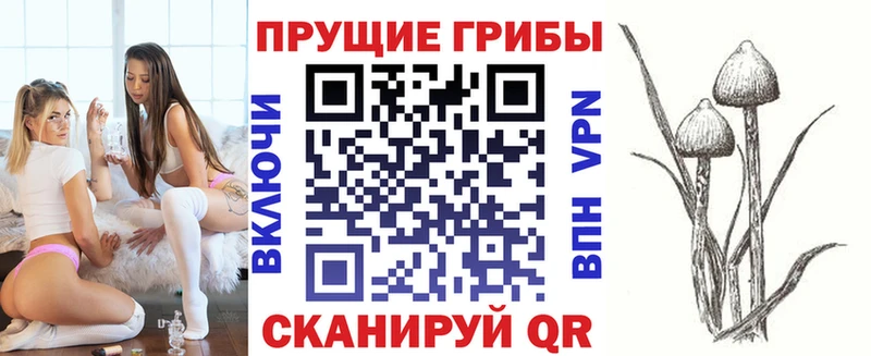 где найти наркотики  Белоозёрский  мориарти Telegram  Галлюциногенные грибы мухоморы 
